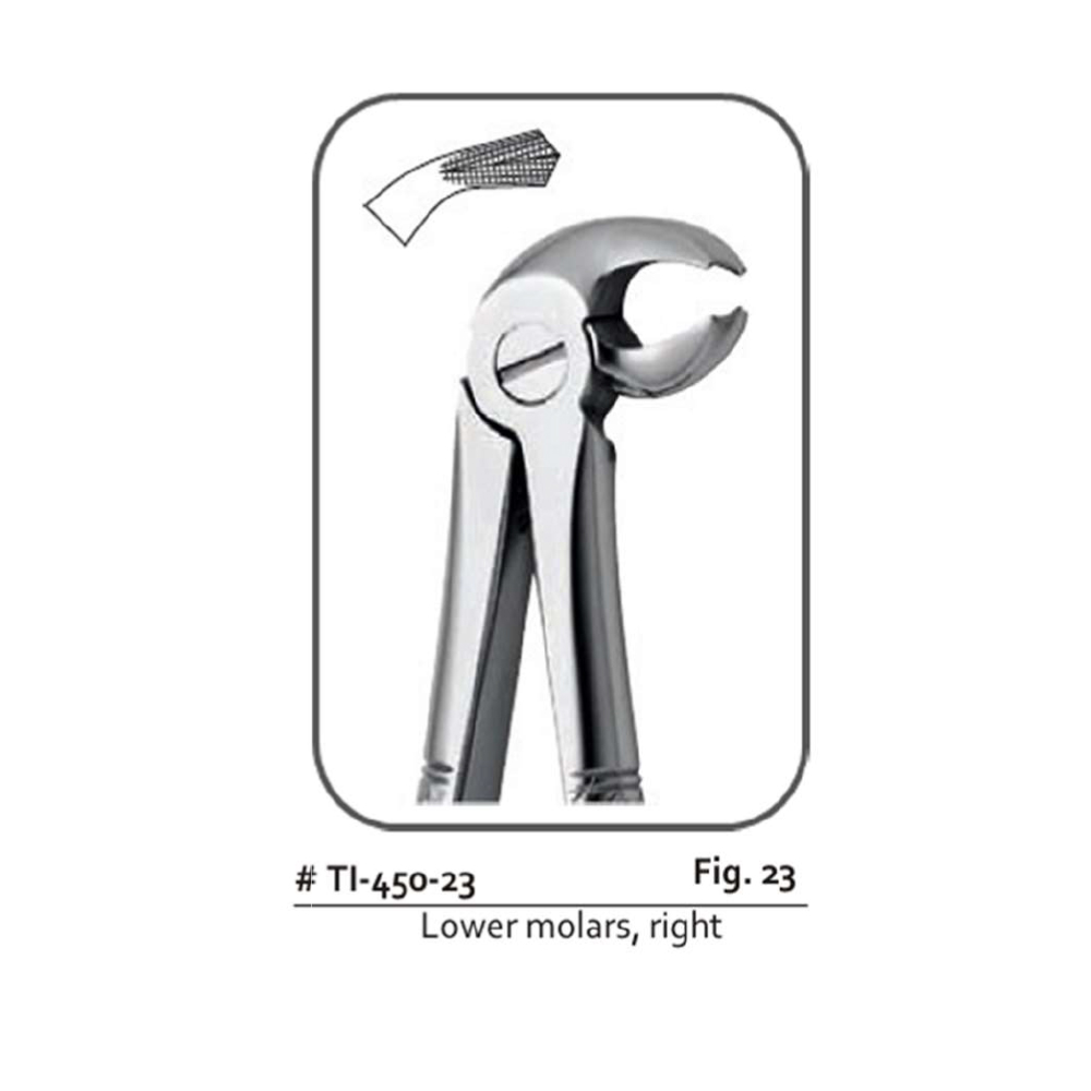 forceps-for-lower-molars-right-side-no.-23-parrot-beak