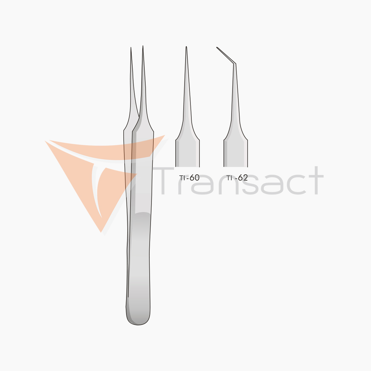 delicate-forceps-en60