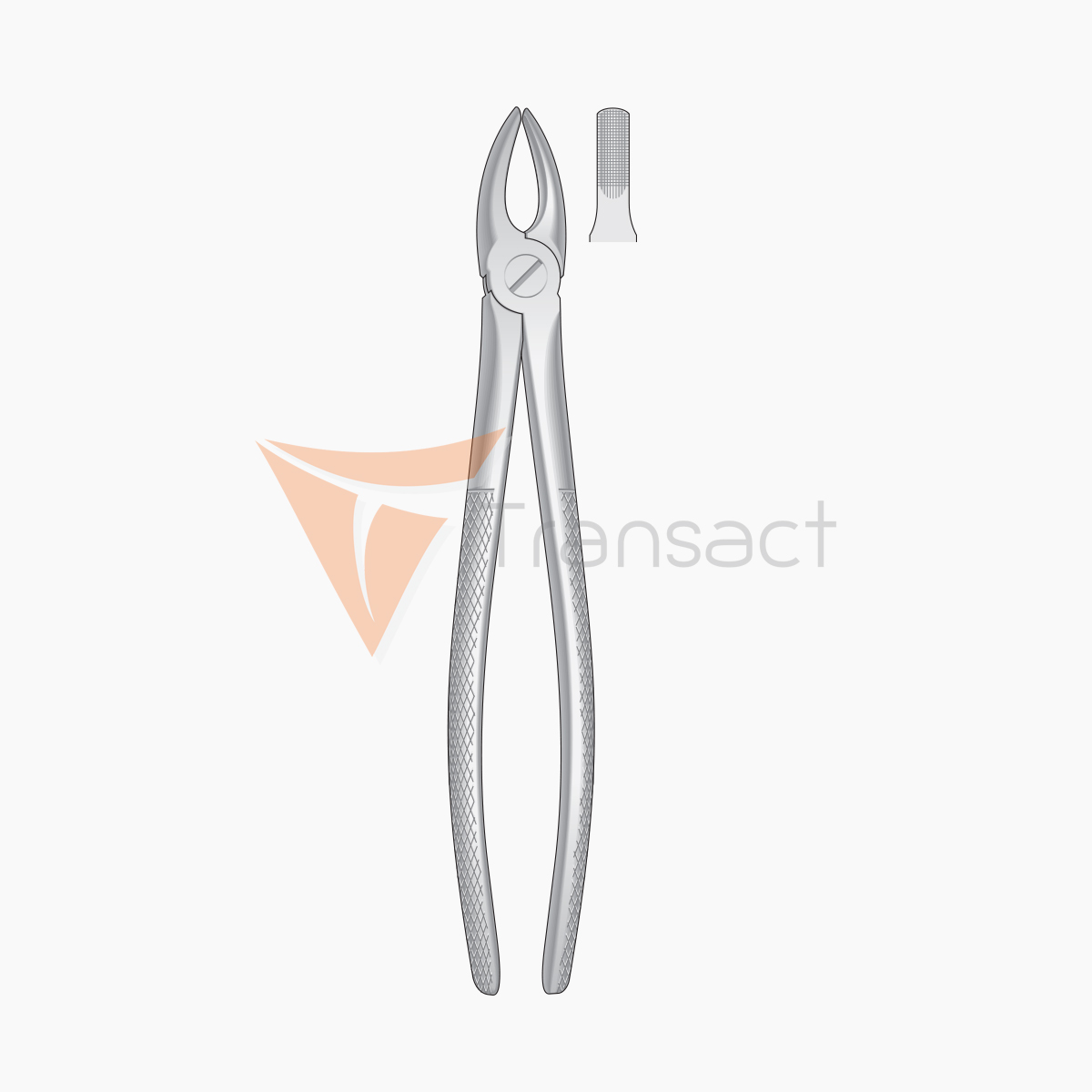 extracting-forceps1