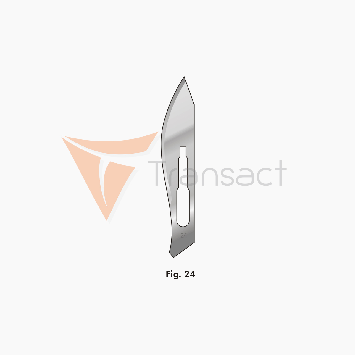 scalpel-blade-no-24