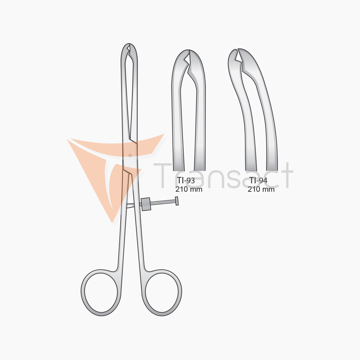 fibula-bone-surgery