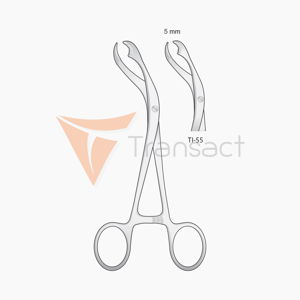 verbrugge-bone-surgery