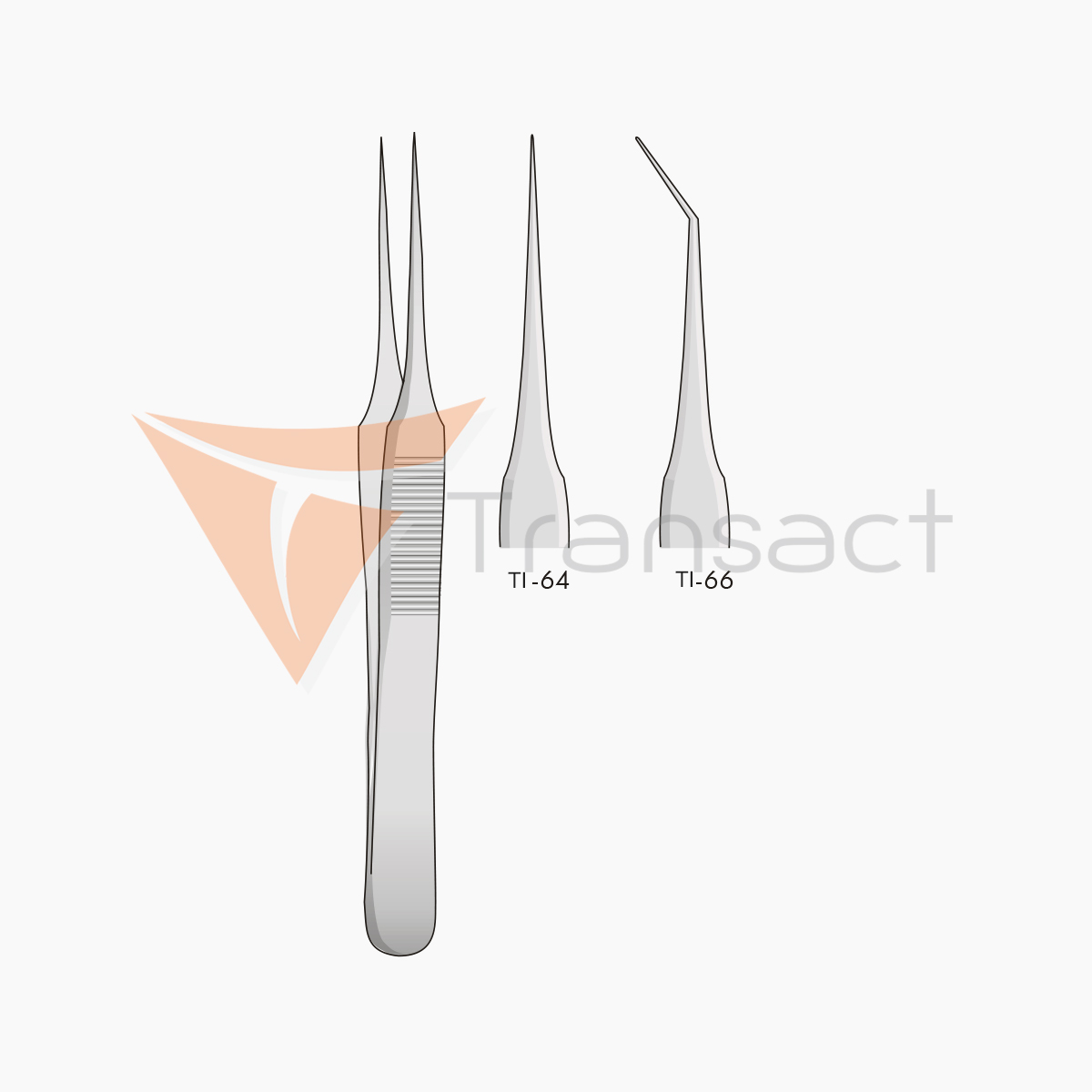 delicate-forceps-en-64